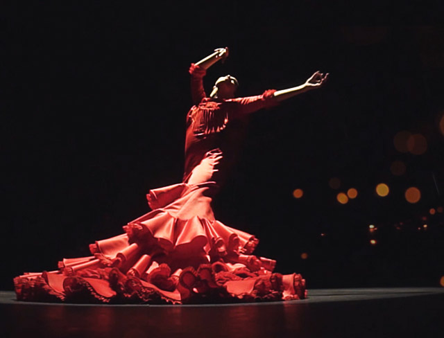 flamenco andaluso
